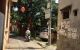 thum-8179541_A3d156Cs29_1634134289.jpg