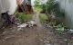 thum-m_6duOX8QeJt_1634088792.jpg