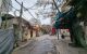 thum-m_wVZqY9b0xi_1634087337.jpg