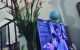 thum-8180622_kefAncrC89_1634187551.jpg