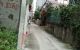 thum-8181034_RzLM9jr3nl_1634202413.jpg
