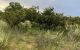thum-8181094_Rt4L91daBH_1634203761.jpg