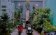 thum-8181590_dSwpm6iNtZ_1634224819.jpg