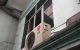 thum-m_fLauPIgDUQ_1634182997.jpg