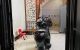 thum-8181716_f8SDIP9gnc_1634239973.jpg