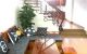 thum-8181872_UROqz9QgmX_1634256313.jpg