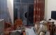 thum-8182128_8GVNcn1aQv_1634265809.jpg