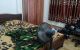 thum-8182128_bRIgUfstNe_1634265812.jpg