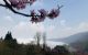 thum-m_LY4OcAaHRS_1634272776.jpg