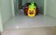 thum-m_PevQ6F1NyT_1634284800.jpg