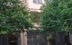 thum-8184426_s9hg5wKbIe_1634356621.jpg