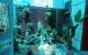 thum-8184973_3bYm17RQFC_1634375879.jpg