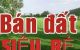 thum-8185899_jDpPls5JkS_1634432308.jpg