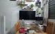 thum-8186028_dFm1aqAyLZ_1634436160.jpg