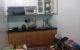 thum-8186899_AVYNKO8MU7_1634479561.jpg