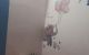 thum-8187384_aMpLC20Ulx_1634517328.jpg