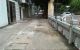 thum-8187510_9sDHFBrdoV_1634522205.jpg