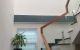 thum-8188529_nFc6hDKBRM_1634551636.jpg