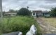 thum-m_B2uO86H3zR_1634525856.jpg