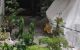 thum-m_S2EuK5JURZ_1634545763.jpg