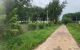 thum-8190878_3d5sANkO0f_1634659351.jpg
