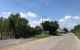 thum-8190878_piXlfwuBWv_1634659361.jpg