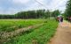 thum-m_YElnVu5Q73_1634659349.jpg