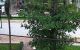 thum-m_HETYad7SG4_1634721915.jpg
