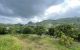 thum-8193328_n7qNEUWuc0_1634785992.jpg