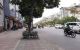 thum-8193393_ayphbxtZLz_1634787423.png