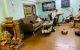 thum-8193437_uGlEAL4Q8b_1634788611.jpg