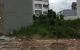 thum-8194315_LZlA43uJkD_1634826101.jpg