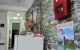thum-8194430_uyNZ1L7JAi_1634831009.jpg
