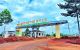 thum-m_6gDzRGoCM7_1634802436.jpeg