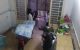 thum-m_Cx2Z06NKEw_1634833819.jpg