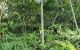 thum-m_mBSxCDY1z3_1634827872.jpg