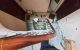 thum-8194520_JTsKAxVotB_1634844807.jpg