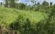 thum-8194748_KCa7SbQL1T_1634862054.jpg