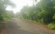 thum-8194966_4RArdMZ9wI_1634866985.jpg