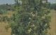 thum-8195074_evitzWI4AB_1634870029.jpg
