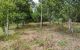 thum-8195301_cDp7rglqdo_1634875412.jpg