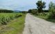 thum-8195380_kCY6iAJWlh_1634877457.jpg