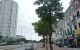 thum-m_9xpColiFVb_1634879034.jpg