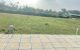 thum-m_x1CXHgMhV0_1634872281.jpg