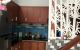 thum-8196787_LZiRhxOjNt_1634953835.jpeg