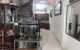 thum-8198079_w6nOX3SF1E_1635052897.jpg