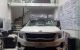 thum-8198477_tFK0omjAID_1635091119.jpg