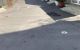 thum-m_eqzh5IUpQR_1635061447.jpeg