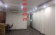thum-8198665_ueWVN8isC4_1635120078.jpg