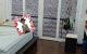 thum-8198722_DEaP7wYuyx_1635126154.jpeg
